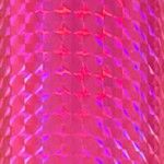 Mosaic Neon Pink